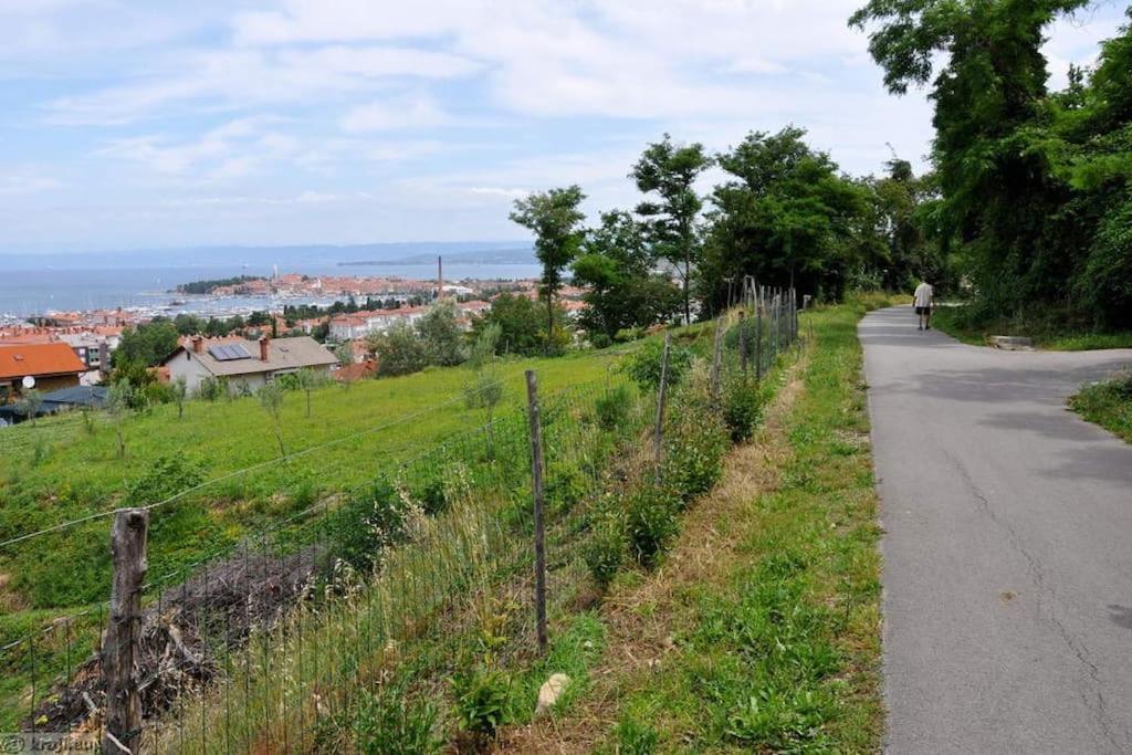 Apartment Izolanka / Great Location / Best Sea And City View Exterior photo